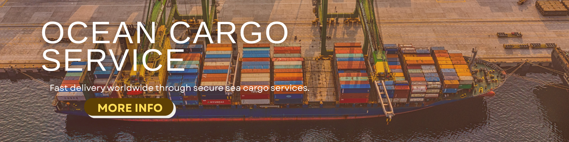 AIR CARGO SERVICE (1)