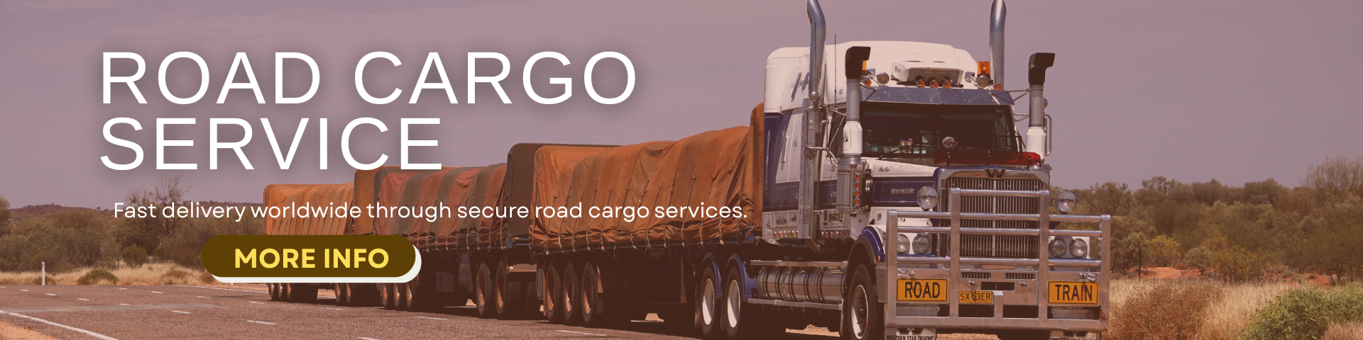 AIR CARGO SERVICE (2)
